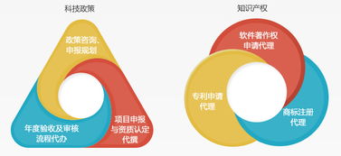 科技中介服务 连接创新与市场的隐形桥梁
